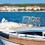 Pet Friendly In