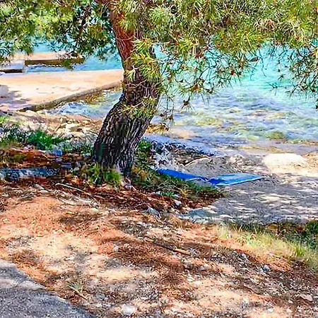 Pet Friendly In * Rogoznica (Sibenik-Knin)