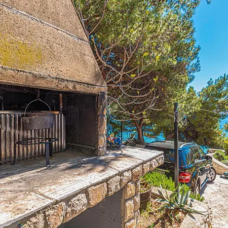 Apartment Pet Friendly In