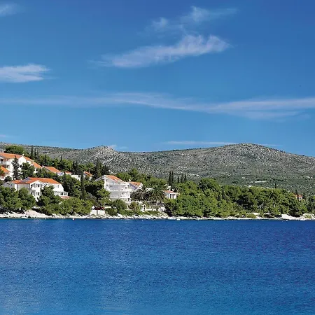 Pet Friendly In Apartment *