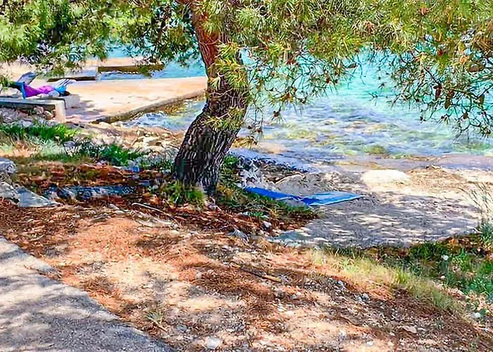 Pet Friendly In * Rogoznica (Sibenik-Knin)