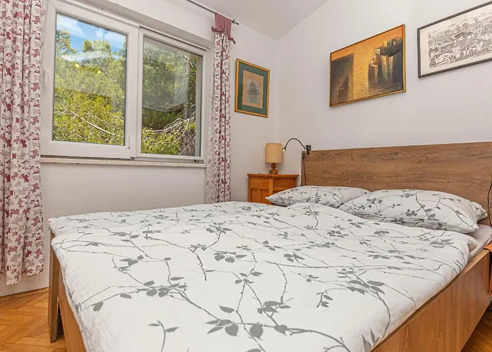 Apartment Pet Friendly In *