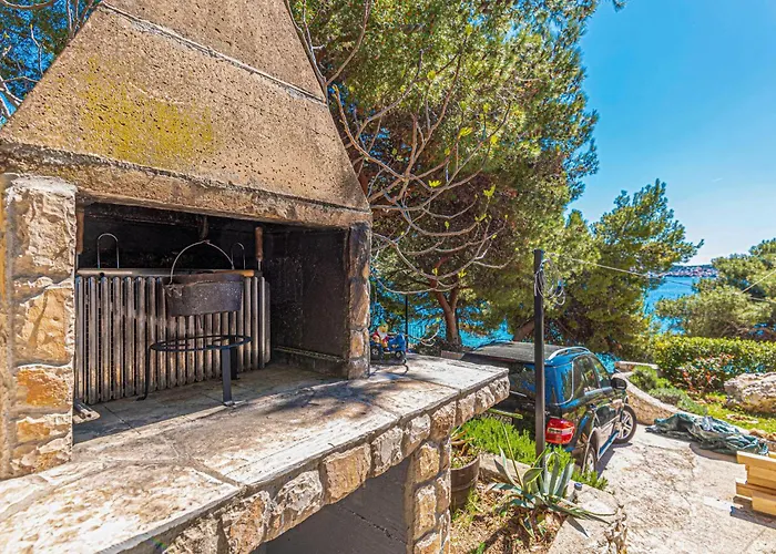 Apartment Pet Friendly In