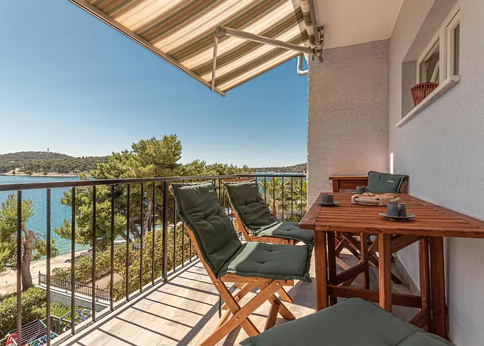 Apartment Pet Friendly In *