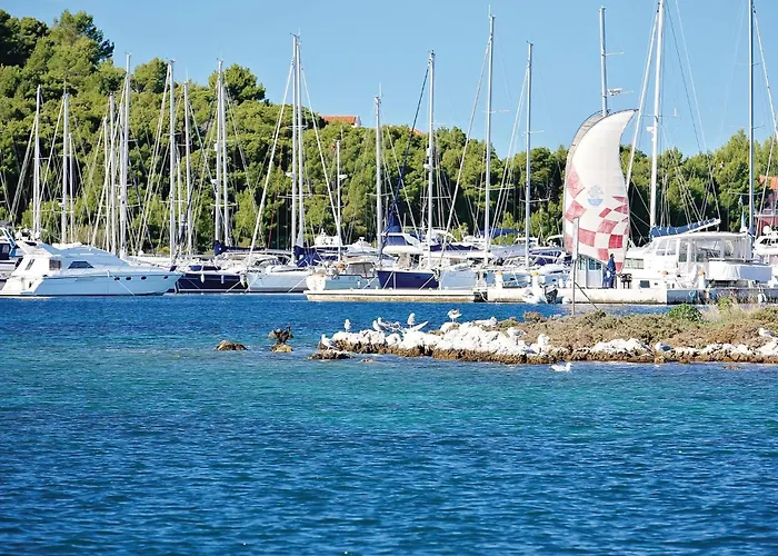 Apartment Pet Friendly In *